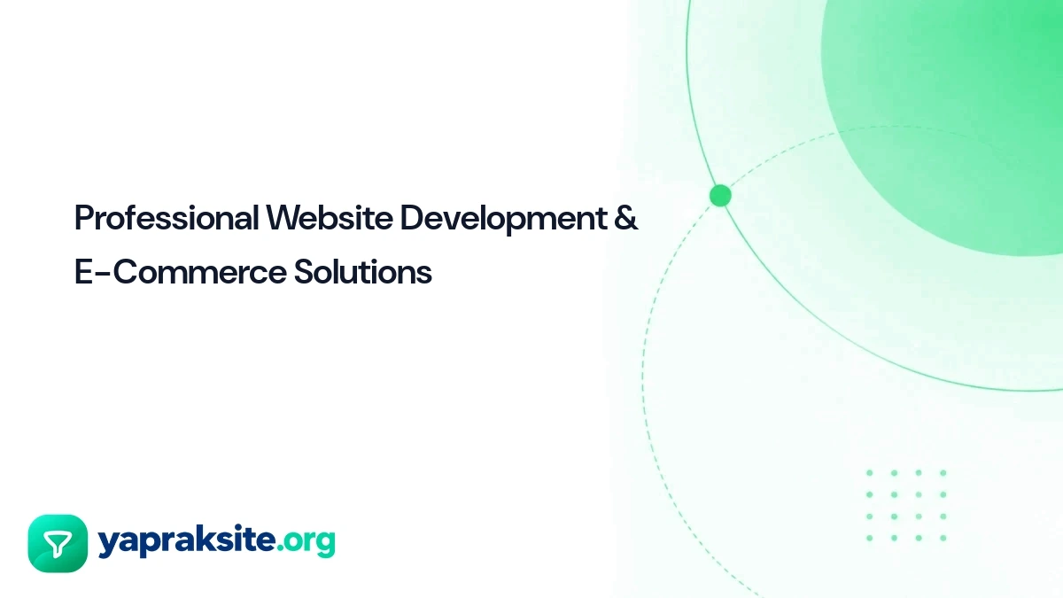Professional Website Development & E-Commerce Solutions